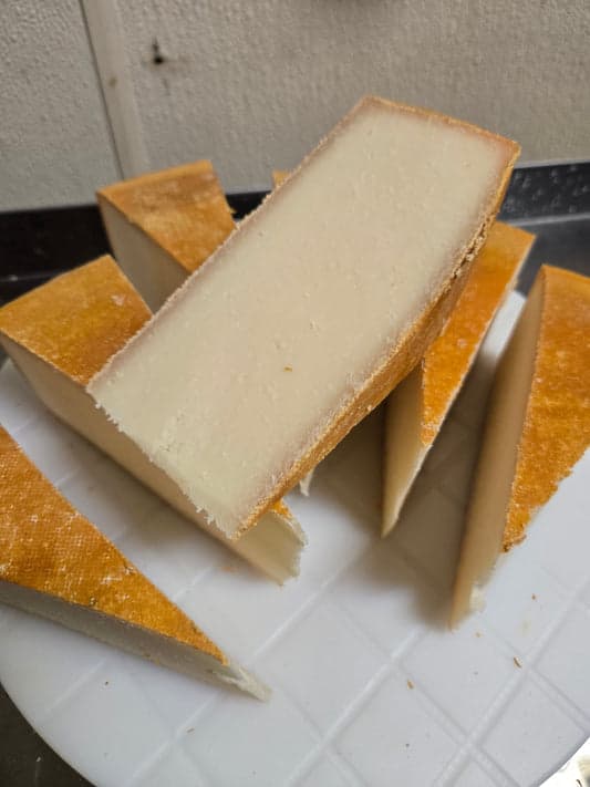Alpine-Style Cheese